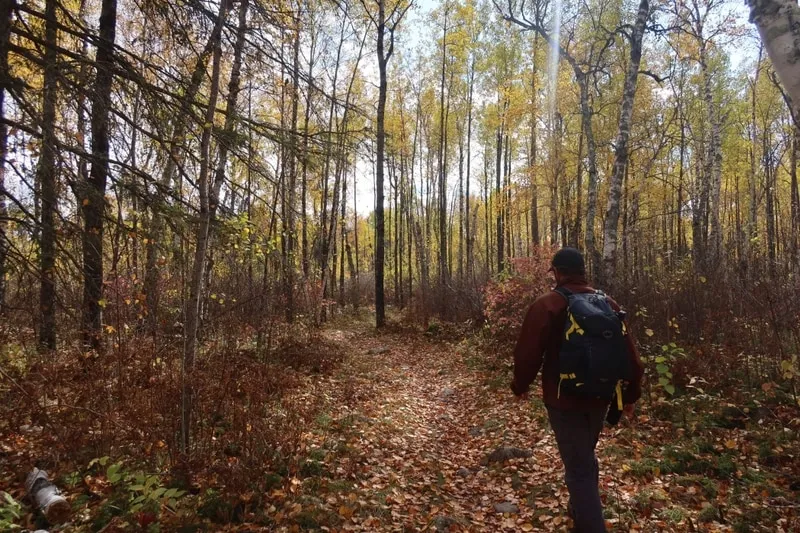 Fall hike through forest