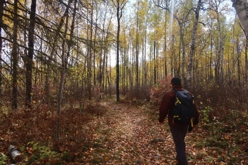 Fall hike through forest
