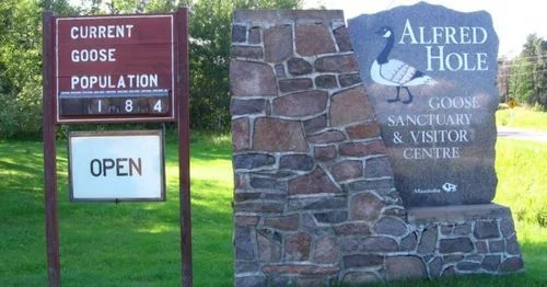 Alfred Hole Goose Sanctuary