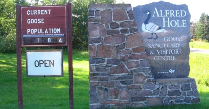 Alfred Hole Goose Sanctuary