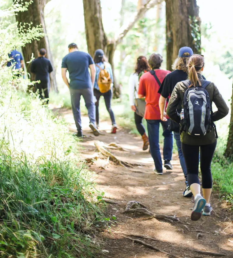 Walkers on a wooded trail